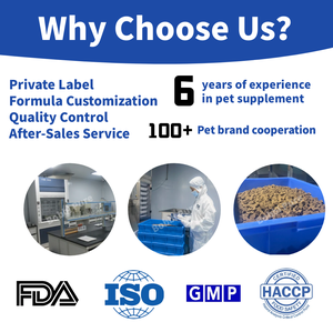 Cuidado Suplemento <span class=keywords><strong>para</strong></span> el cuidado de las articulaciones de <span class=keywords><strong>perros</strong></span> <span class=keywords><strong>viejos</strong></span> Producto cuadrado Suplemento <span class=keywords><strong>para</strong></span> la cadera y las articulaciones del perro masticable Comida <span class=keywords><strong>para</strong></span> mascotas <span class=keywords><strong>para</strong></span> <span class=keywords><strong>perros</strong></span> - Product Image 5