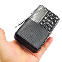 Lecteur MP3 numérique portable rechargeable L-238 pour extérieur avec radio FM, prise en charge AAC, design de moule privé, écran LED, sans fil