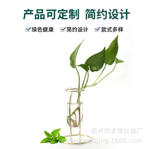 Jarrón de Metal Dorado de Estilo Nórdico con Tubo de Vidrio para Plantas Hidropónicas, Decoración de Escritorio 1222 - Product Image 3