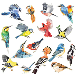 Autocollant de fenêtre <span class=keywords><strong>anti</strong></span>-<span class=keywords><strong>collision</strong></span>, protection contre les impacts d'oiseaux, autocollants de fenêtre <span class=keywords><strong>anti</strong></span>-adhésifs en vinyle, autocollants colibri - Product Image 2