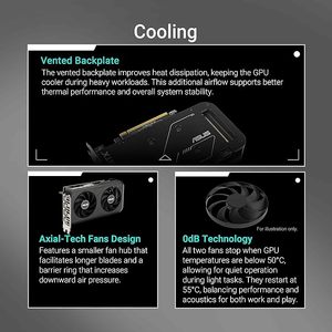 Tarjeta Gráfica Dual GeForce RTX 5050 8GB GDDR6 OC Edition (PCIe 5.0, GDDR6, DLSS 4, 2.1b, DisplayPort de 2 Ranuras, Diseño de Ventilador Axial-tech, 0dB Dual - Product Image 3