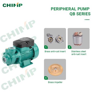Pompe à eau périphérique domestique CHIMP 0,5 CV QB60 0,37 kW, petite pompe de surpression à vortex - Product Image 3