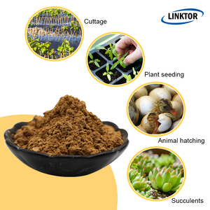 BUlk Vermiculite <span class=keywords><strong>Powder</strong></span> Partículas Vermiculita Expandida para Suculentas - Product Image 5