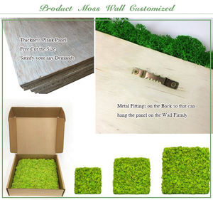 Prix bas, mousse de renne, mousse conservée, mousse stabilisée, panneau mural décoratif pour l'art mural, décoration intérieure - Product Image 6