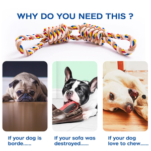 Ensemble de jouets pour chien en corde de coton tressée résistante aux morsures, jouet interactif d'entraînement pour animaux de compagnie en plein air - Product Image 4