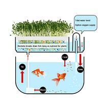 Système hydroponique numérique électronique compact pour la maison, alimenté par USB, jardin hydroponique, aquaponie, poissons pour la culture des plantes
