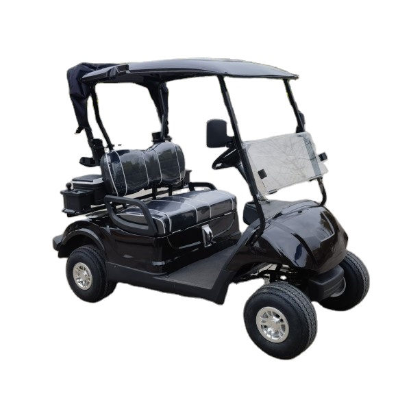 EZGO Điện 2 Chỗ Đi Kart/Xe Golf Với Giá Thấp