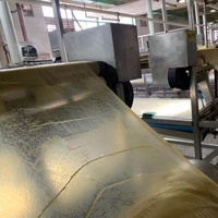 Machine automatique pour la production de peau de tofu ; Équipement automatisé pour la ligne de traitement de la peau de tofu et du tofu séché. Machines à tofu.