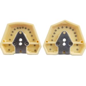 Professionale ortodontico dentista formazione anatomico denti orali modello rimovibile studio <span class=keywords><strong>Typodont</strong></span> modelli dentali per la scienza medica - Product Image 3