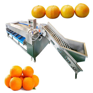 Fournisseur de la Chine Machine de tri d'oignons Machine de classement de fruits avec le meilleur <span class=keywords><strong>prix</strong></span> - Product Image 6