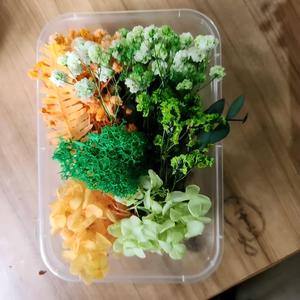 Kit de fleurs séchées vertes fraîches, feuillage et fleurs préservés en boîte pour la décoration de la maison, projets d'artisanat DIY, projets artistiques DIY, artisanat miniature - Product Image 1