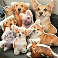 Grande sélection, prix abordable : Coussins décoratifs, oreillers, coussins lombaires et de soutien cervical en peluche, personnalisés et découpés sur mesure, pour dropshipping.