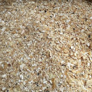 TOP VENTES POUDRE DE COQUILLE DE CREVETTES QUALITÉ SUPÉRIEURE EN VRAC FOURNITURE EN GROS PRODUITS DE FRUITS DE MER NATURELS EXPORTATION HOT DEAL MEILLEURE OFFRE PROMOTION - Product Image 1