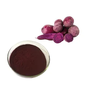 Extrait de patate douce violette en poudre de patate douce violette de haute pureté