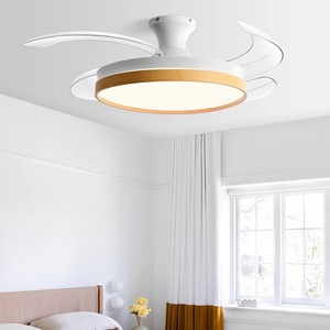 Ceiling Fan Light With Led Integrated Invisible Fan For Bedroom Living Room Dining Room Home Use - Product Image 1