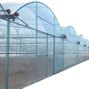 Serre agricole en polycarbonate de poly tunnel de tomate