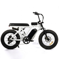 Vélo électrique tout-terrain à gros pneus 750W pour adultes, usage urbain et tout-terrain, personnalisation en gros par l'usine OEM