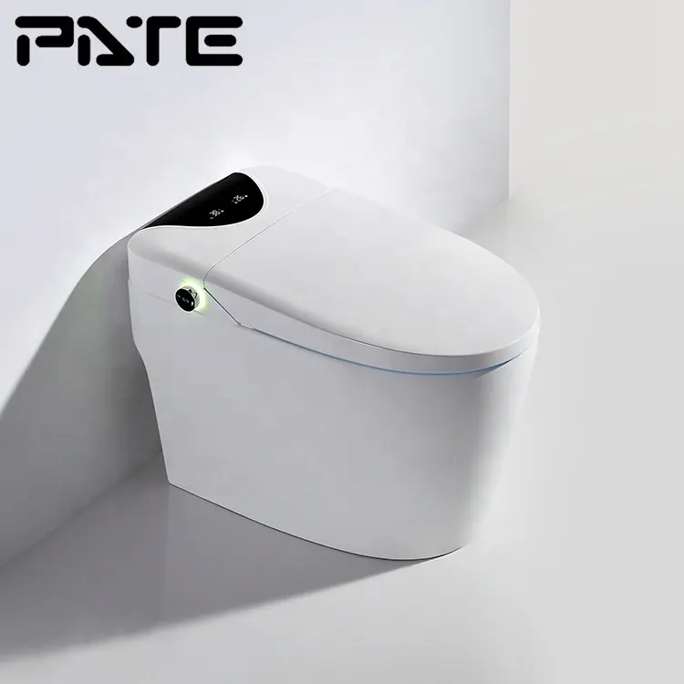 Vente chaude Toilette intelligente sans réservoir 220v Matériel Céramique France