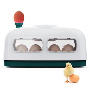 Incubateur de poussins 8Egg de dernière technologie avec batterie à ceinture pièces de rechange du Bangladesh à vendre <span class=keywords><strong>Amazon</strong></span> à faible coût - Product Image 4