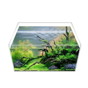 Shatterproof Transparent Acrylic Fish Tank Desktop Small Rectangular Aquatic Plants Tank Reptiles Tank Aquarium Accessories