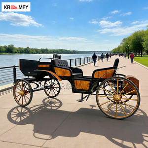 Calèche de Cendrillon lumineuse, calèche de mariage de luxe à LED, calèche de Noël à vendre - Product Image 2