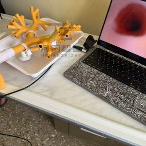 แบบจำลองการสอนและการฝึกอบรมทางการแพทย์สำหรับการส่องกล้องตรวจหลอดลมระดับสี่แบบแข็งรุ่นใหม่ ต้นแบบหลอดลม - Product Image 2