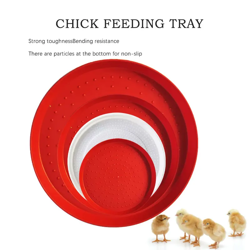 Prezzo all'ingrosso 50cm rosso e bianco piastra di apertura della fattoria di alimentazione piatto di plastica di forma rotonda piastra di alimentazione di pollo per pollo