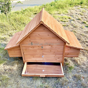 Poulailler en bois SDC002 pour l'extérieur, en bois de sapin massif, pour 2 à 4 poules - Product Image 3