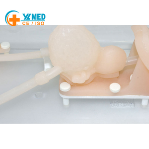 Modelo de Simulación para Entrenamiento en Ureteroscopia - Herramienta de Práctica de Endoscopia del Tracto Urinario para Educación Médica - Product Image 4