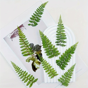 Felci pressate essiccate verdi per timbri di sigillo di cera fai da te colla goccioline per decorazioni segnalibri biglietti d'auguri dipinti di fiori secchi - Product Image 5