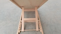 Rampe pour chien escaliers pour animaux de compagnie rampe pour animaux de compagnie en bois escaliers pour animaux de compagnie rampe pour chien pliante portable