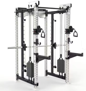 Máquina de Cable de Entrenamiento de Nuevo Estilo <span class=keywords><strong>con</strong></span> Pila de Pesas Selectorizada Dual de 70 kg - Construcción Metálica para Gimnasio, Fitness y Ejercicio - Product Image 5