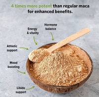Comprimés énergétiques pour hommes OEM ODM sauvages pour capsule de racine de maca pilules d'extrait de plantes en poudre pour la fertilité emballées en bouteille