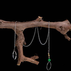 Collar y Correa de Acero Inoxidable para Loros, Apto para <span class=keywords><strong>Vuelos</strong></span> al Aire Libre - Product Image 2