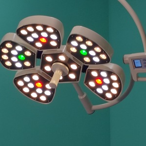Lampe LED sans ombre 30000 lm à 5 pétales, mobile, pour chirurgie dentaire, fixation murale ou au plafond, pour clinique et opérations - Product Image 4