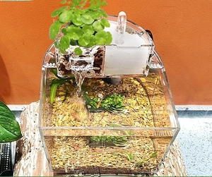 2023環境にやさしいホームオフィスの庭の装飾小さなアクリル海洋水族館透明アクリル水槽キャビネット付き - Product Image 1