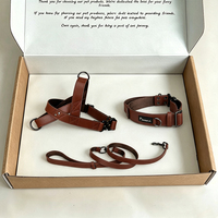 Ensemble Harnais, Collier et Laisse pour Chien en Similicuir Vintage Personnalisé, Robuste avec Quincaillerie, pour Entraînement et Promenade en Extérieur - Vente en Gros