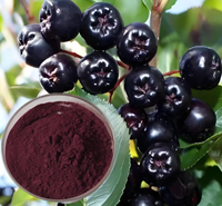 Extrait lyophilisé d'Aristotelia Chilensis d'anthocyanidines de polyphénol de poudre de fruit de baie de Maqui