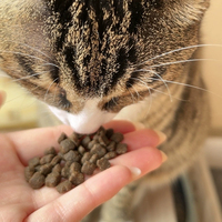 OEM LUSCIOUS Hoogproteïne Droogvoer voor Katten - 1kg/2.5kg/5kg/10kg/20kg Zakken Laag in vetten Groothandel