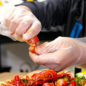 ถุงมือไวนิลเกรดอาหารแบบใช้แล้วทิ้ง ทนน้ำมัน สำหรับการแปรรูปอาหาร ใช้ในครัวเรือน ไม่ผ่านการฆ่าเชื้อ ใช้ครั้งเดียว - Product Image 5