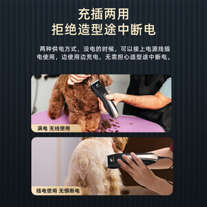 เครื่องตัดขนสัตว์เลี้ยง Miaoquanji แบบไฟฟ้า ชาร์จได้ สำหรับสุนัข เครื่องมือกรูมมิ่งมืออาชีพ วัสดุ ABS - Product Image 5