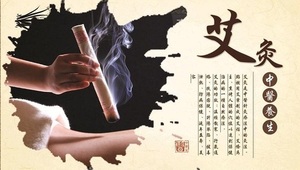 Shuhe Health 6.0 Barra de Moxibustión Cálida, Extracto Herbal de Hojas de Artemisa, 99% Puro, Grado Alimenticio, GuiZhou, China - Product Image 2