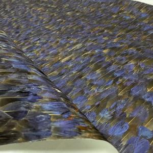 <span class=keywords><strong>Papier</strong></span> <span class=keywords><strong>peint</strong></span> Zhenling haut <span class=keywords><strong>de</strong></span> gamme à motifs <span class=keywords><strong>de</strong></span> plumes <span class=keywords><strong>de</strong></span> <span class=keywords><strong>paon</strong></span> colorées, <span class=keywords><strong>papier</strong></span> <span class=keywords><strong>peint</strong></span> attrayant à motifs <span class=keywords><strong>de</strong></span> plumes <span class=keywords><strong>de</strong></span> <span class=keywords><strong>paon</strong></span> - Product Image 3