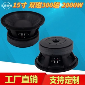 Haut-parleur stéréo de 15 pouces avec double aimant, 200W+, pour utilisation sur scène - Product Image 5