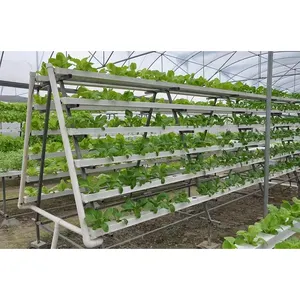 Vertikales NFT-Dachrinnen system PVC-Rohr Erdbeeren Tomaten Salat Pflanzen Hydro ponik systeme