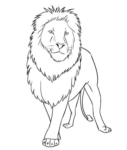 Shenzhen Jiayu Huanqiu Technology Co., Ltd. logo