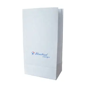 China Logo Printing Factory Wholesale Grocery White Kraft Paper Bag With Handle PE Coated Airsickness Bags