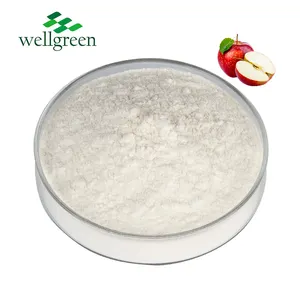 체중 감소 보충교재 애플 Polyphenols 제일 공급 말린 사과 사이다 식초 분말