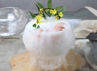 Petite machine à glace sèche micro alimentaire CO2 dioxyde de carbone glace sèche machine de cuisson mélangeur de vin chaîne du froid machine de fabrication de glace sèche