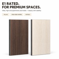 Style moderne, mélamine et panneaux de fibres à densité moyenne ordinaires, utilisés pour les panneaux de fibres dans les armoires sur mesure dans toute la maison